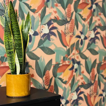 Vimini Like A Local - Center דירה בארי