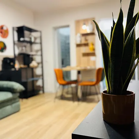 Vimini Like A Local - Center *