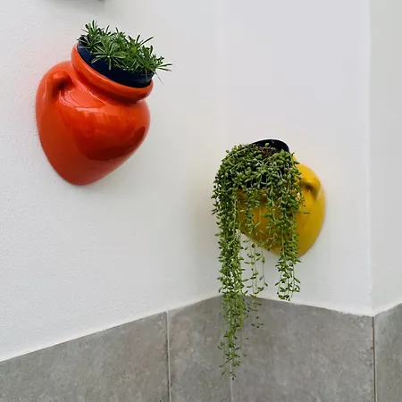 Vimini Like A Local - Center