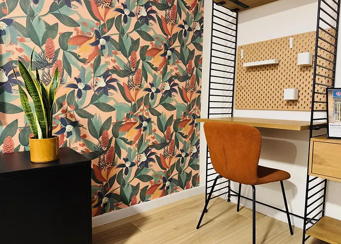 Vimini Like A Local - Center Bari