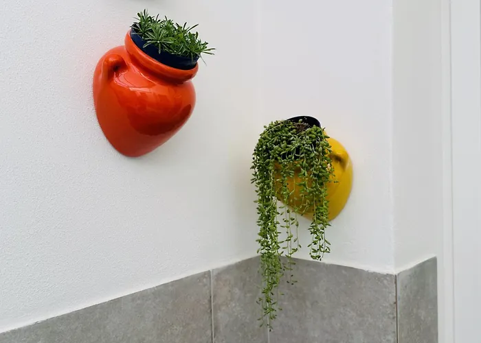 Vimini Like A Local - Center