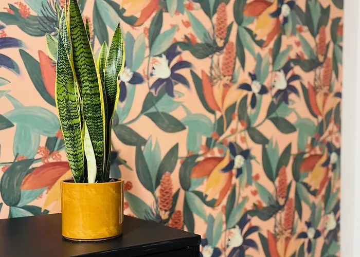 Vimini Like A Local - Center Apartament Bari